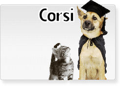 https://carpratiche.com/corsi