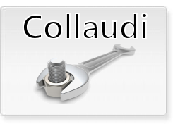 https://carpratiche.com/collaudi